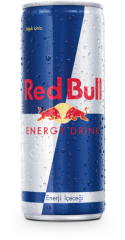 Redbull Enerji İçeçeği 250 ml 24 Adet