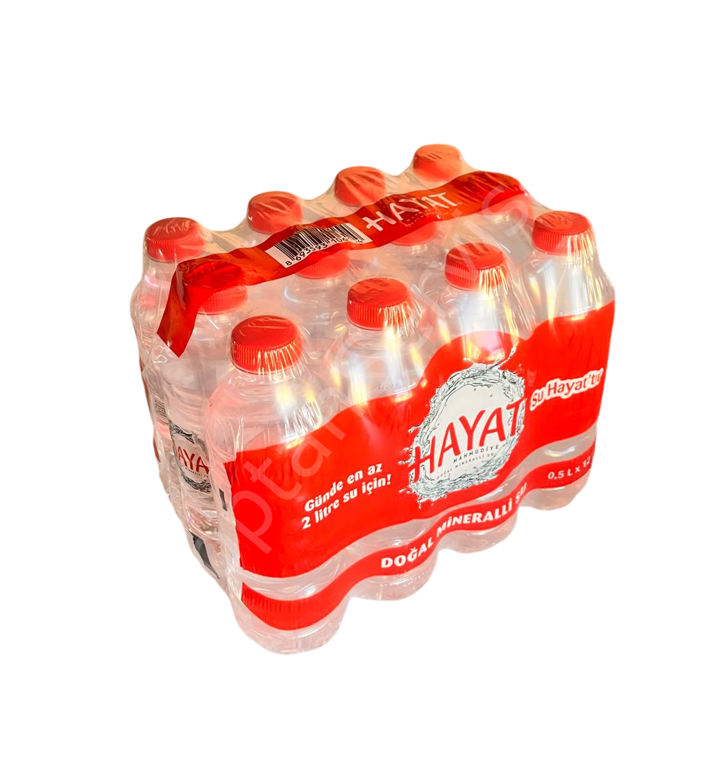 Hayat Su 0,5 Lt 12 Adet