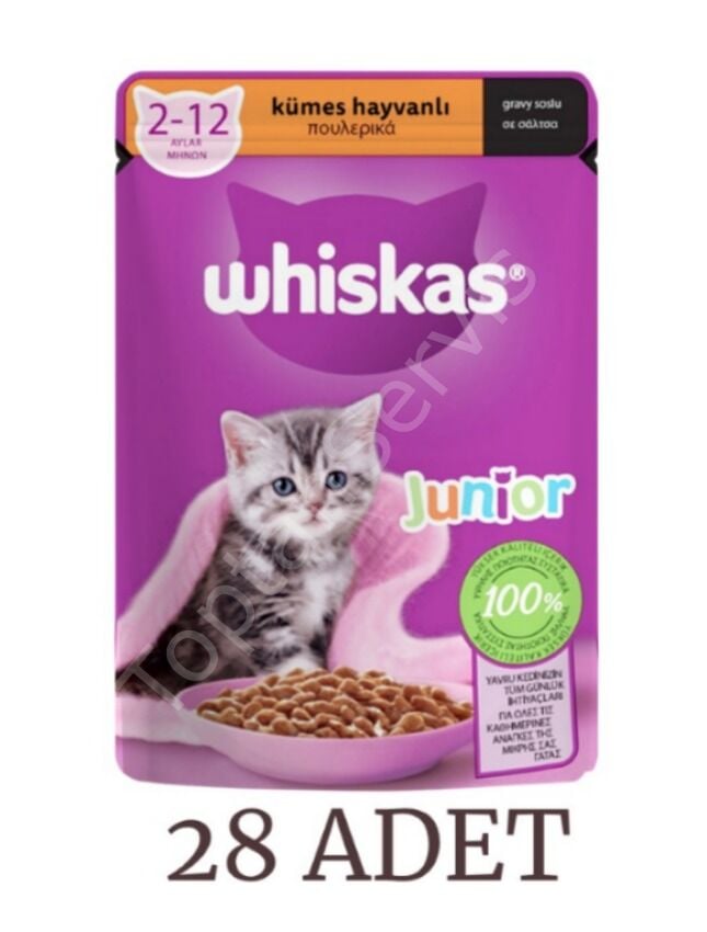 Whiskas Kümes Hayvanlı Yavru Kedi Maması 85 gr 28 Adet