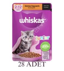 Whiskas Kümes Hayvanlı Yavru Kedi Maması 85 gr 28 Adet