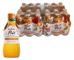 Kızılay Plus Enerji Gazlı İçecek 200 ml 24 Adet