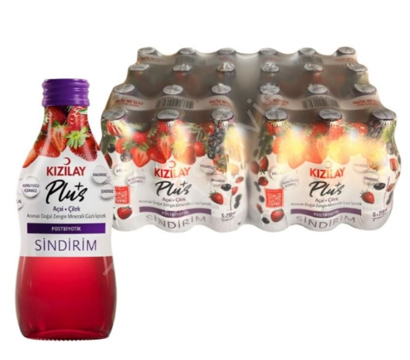 Kızılay Plus Sindirim Gazlı İçecek 200 ml 24 Adet