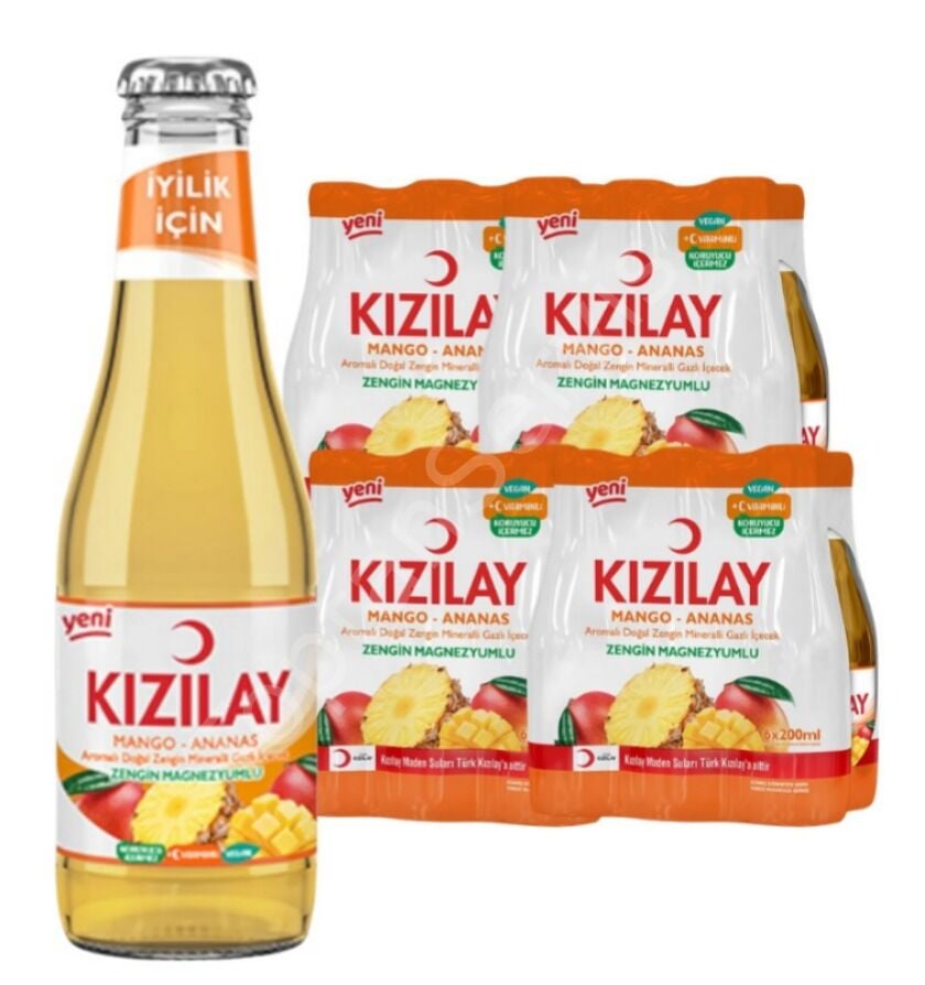Kızılay C Vitaminli Mango Ananas Aromalı Gazlı İçecek 200 ml 24 Adet