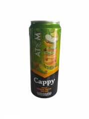 Cappy Kutu Atom Nektarı Kutu 330ml 12 Adet