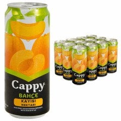 Cappy Kutu Kayısı Nektarı 330ml 12 Adet