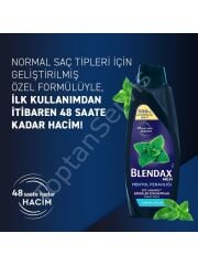 Blendax Men Mentol Ferahlı 4ü 1 arada Şampuan 500 ml