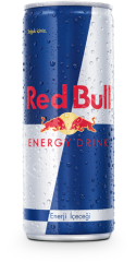 Redbull Enerji İçeçeği 250 ml 24 Adet