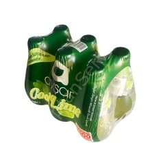 Avşar Cool Lime Nane ve Limon Aromalı Soda 200 ml 6 Adet